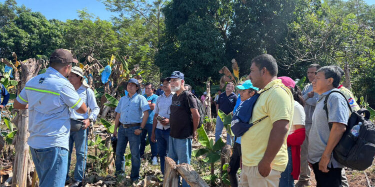 Productores de El Tulate fortalecen sus capacidades en nutrición vegetal y análisis de suelo