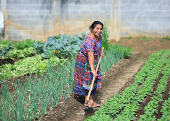 Productores y agricultores familiares se benefician de cambios en el PAE