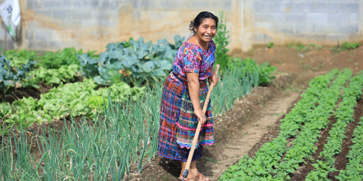 Productores y agricultores familiares se benefician de cambios en el PAE