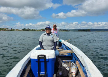 Realizan muestreo de pesca científica de peces en el lago Petén Itzá
