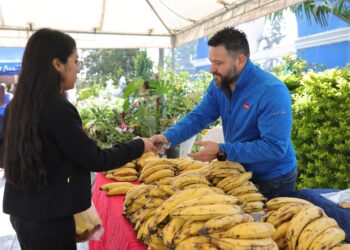 Se han realizado 147 Ferias del Agricultor en este año
