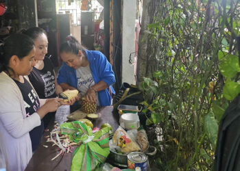 Taller de procesamiento de frutas impulsa agroindustria rural en Chiquimula