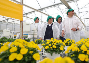 Tecnología automatizada impulsa producción de semillas ornamentales en Jalapa