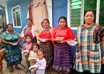 Transforman plantas nativas en oportunidades de emprendimiento