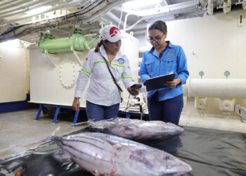 Verifican inocuidad de atún a bordo de barco en altamar