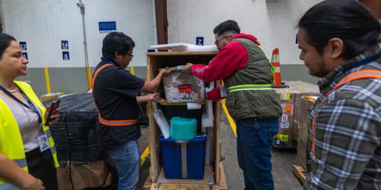MCD coordina repatriación de 61 bienes culturales desde Guanajuato, México
