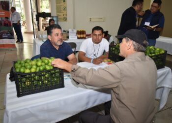 Productores fortalecen capacidades comerciales en el Agroencuentro de Baja Verapaz