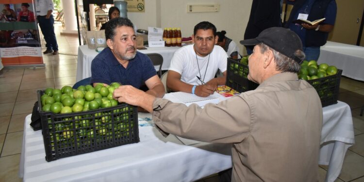 Productores fortalecen capacidades comerciales en el Agroencuentro de Baja Verapaz