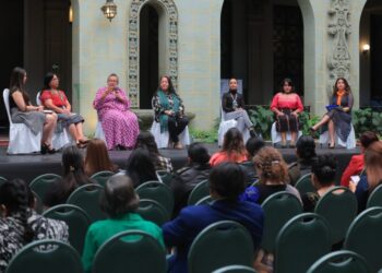 MCD se une al Día Internacional de la Eliminación de la Violencia contra la Mujer