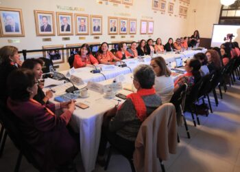 Ministra Liwy Grazioso participa en foro de alto nivel sobre Violencia Digital contra Mujeres y Niñas