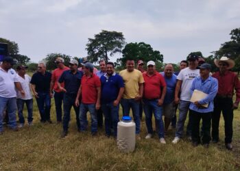 Promueven el mejoramiento genético del ganado bovino en Escuintla