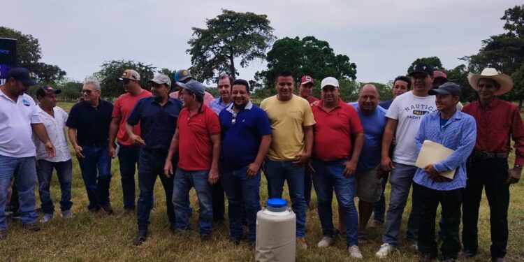 Promueven el mejoramiento genético del ganado bovino en Escuintla