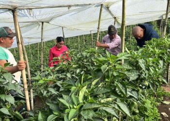 Nuevas oportunidades para las familias productoras de Palencia