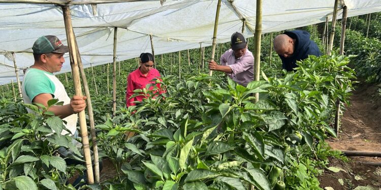 Nuevas oportunidades para las familias productoras de Palencia