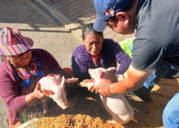 Impulsan el fortalecimiento de la producción pecuaria y acuícola en el país