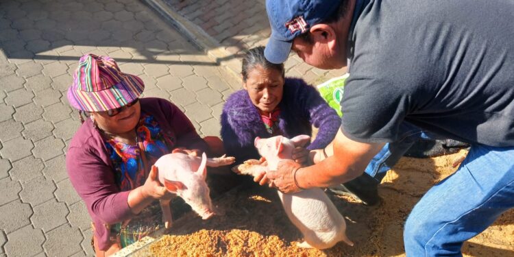 Impulsan el fortalecimiento de la producción pecuaria y acuícola en el país