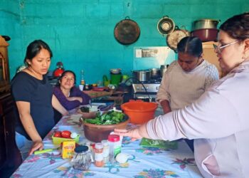 Insumos de huertos familiares contribuyen con la seguridad alimentaria