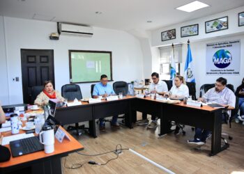 Concluye verificación para renovar licencia de exportación de camarón hacia México