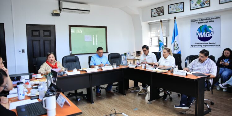 Concluye verificación para renovar licencia de exportación de camarón hacia México