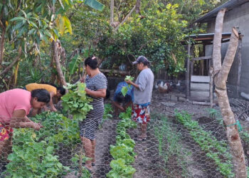 Agricultoras de Quezaltepeque demuestran resiliencia en la producción de alimentos