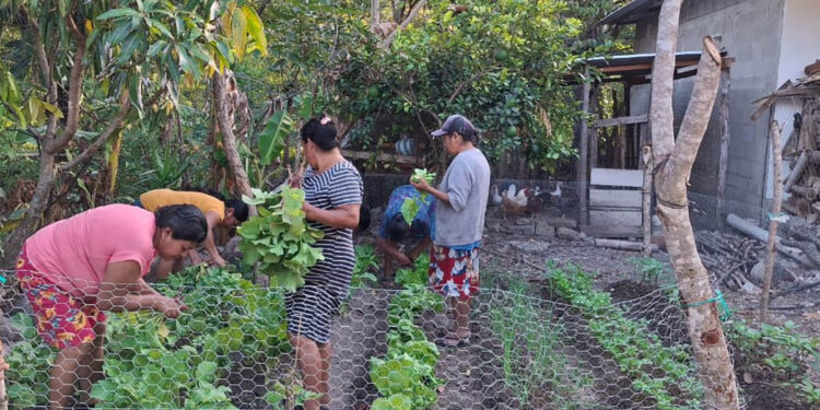Agricultoras de Quezaltepeque demuestran resiliencia en la producción de alimentos