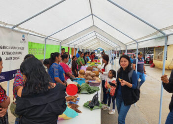 Amplia participación en Feria del Agricultor de Chisec, Alta Verapaz
