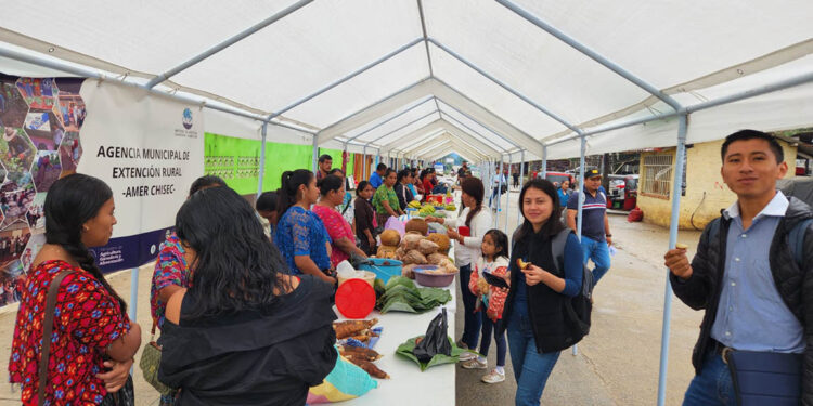 Amplia participación en Feria del Agricultor de Chisec, Alta Verapaz