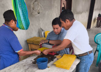 Apicultores de Sayaxché reciben asistencia técnica