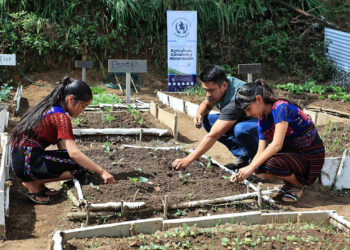 Beneficiadas más de 78 mil familias de municipios priorizados por iniciativa “Mano a Mano”