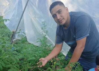 CADER en Quezaltepeque recibe asistencia técnica para fortalecer la seguridad alimentaria