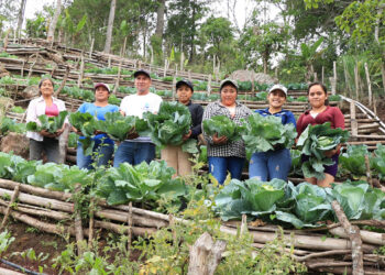 Día del Sector Público Agrícola – Extensión rural clave para el desarrollo agropecuario