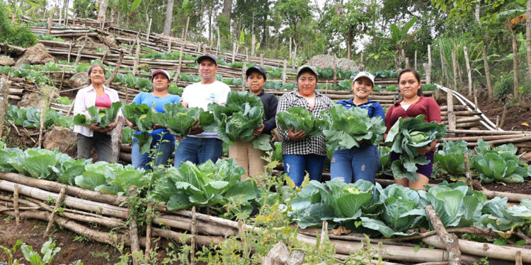 Día del Sector Público Agrícola – Extensión rural clave para el desarrollo agropecuario