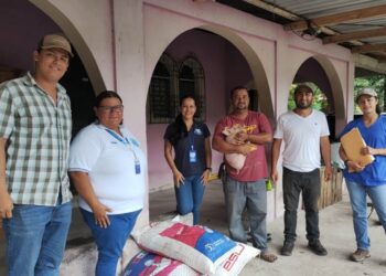 Distribuyen lechones a familias rurales de Petén