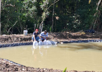 Entregan alevines a productores de El Chal