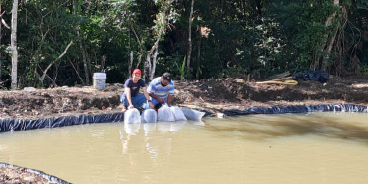 Entregan alevines a productores de El Chal