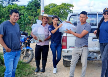 Entregan alevines de tilapia a productores de Sayaxché