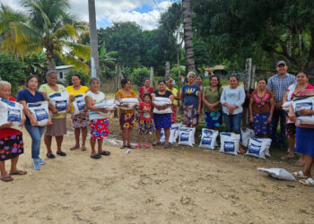 Entregan semilla de maíz en San Francisco