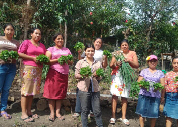 Familias chiquimultecas obtienen cosechas e ingresos por huertos familiares