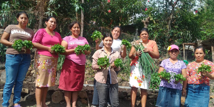 Familias chiquimultecas obtienen cosechas e ingresos por huertos familiares