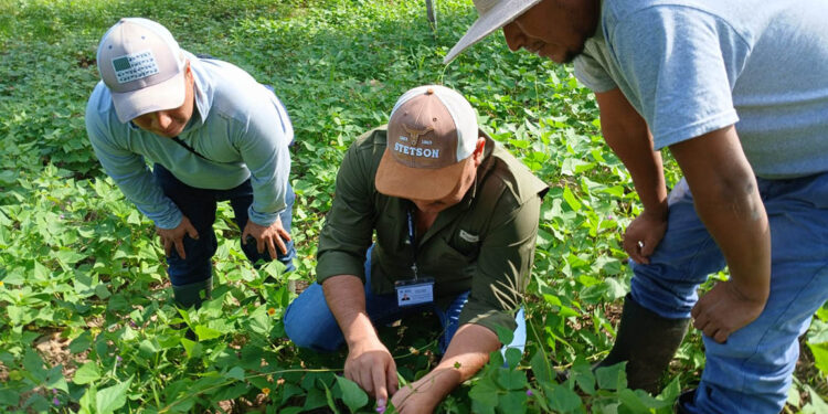 Fortalecen capacidades de productores rurales en distintas áreas