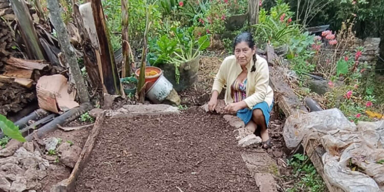 Fortalecen conocimientos en producción hortícola familiar en Quezaltepeque