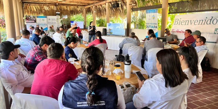 Fortaleciendo la generación y uso de información agrícola climática