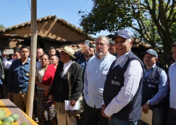 Huertos, asistencia técnica e insumos fortalecen la agricultura familiar