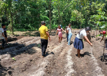 Implementados 1474 huertos escolares con fines pedagógicos
