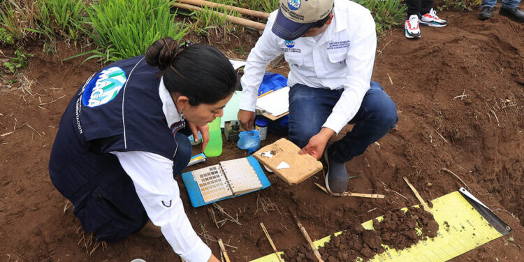 Impulsan acciones para proteger y conservar los suelos de Guatemala