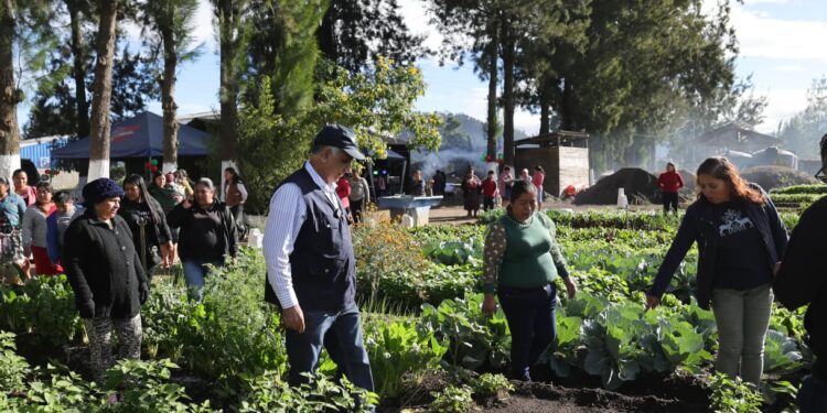 Impulsan agricultura familiar y liderazgo de mujeres rurales en Chimaltenango