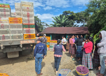 Impulso a la seguridad alimentaria en Alta Verapaz