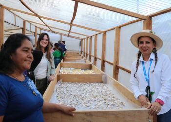 Inauguran Centro de Deshidratación y Procesamiento de Cultivos Nativos en Petén