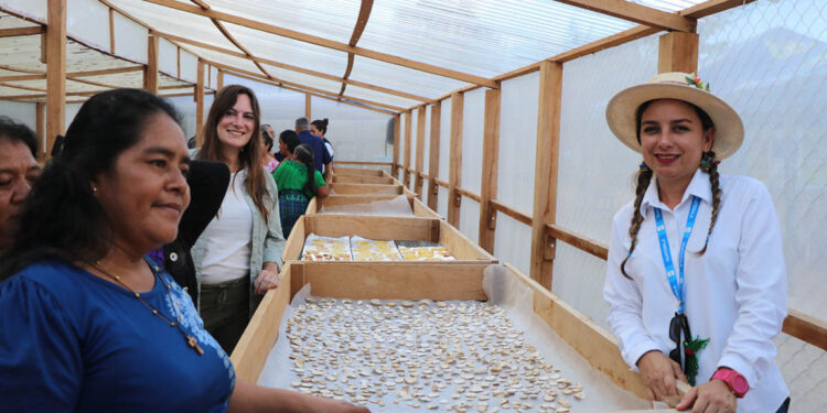 Inauguran Centro de Deshidratación y Procesamiento de Cultivos Nativos en Petén