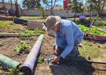 Instalan sistema de riego en huerto comunal de Esquipulas
